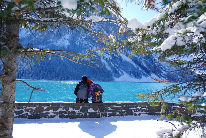 Picture 3 for Activity Moraine Lake: Lake Louise & Yoho & Moraine Lake Day Tour