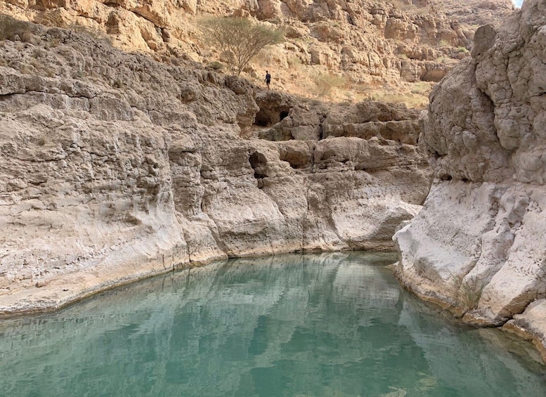 Picture 4 for Activity Muscat : Private trip to Wadi Shab + sinkhole