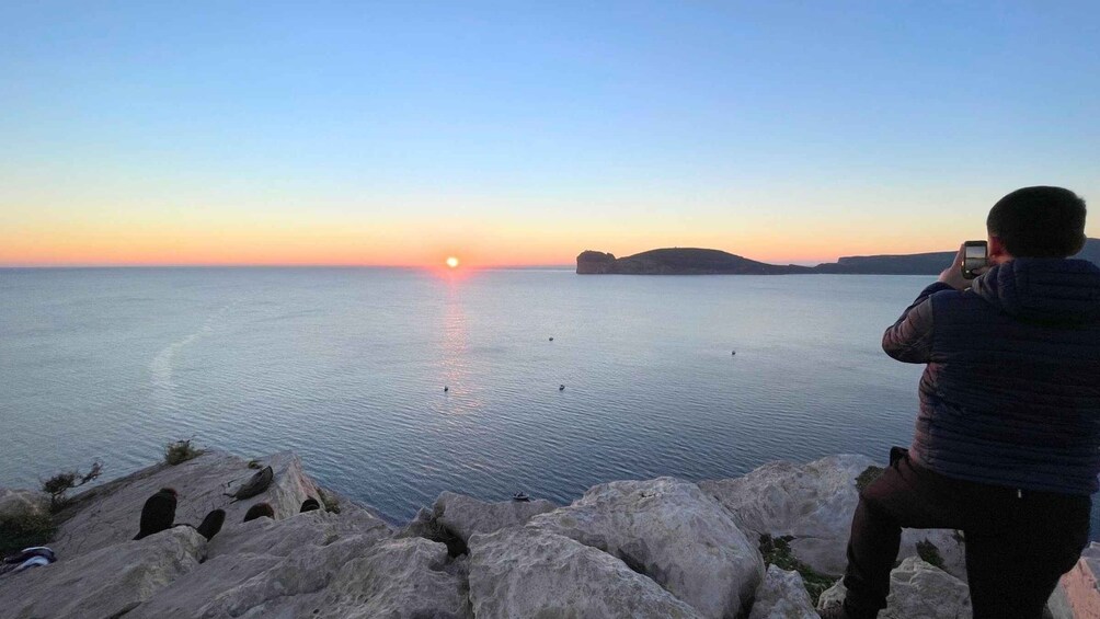 Picture 7 for Activity Alghero: trekking in the Porto Conte park