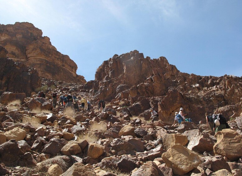 Picture 8 for Activity Hike to Jordan's Highest Mountain, Umm Ad Dami & Overnight