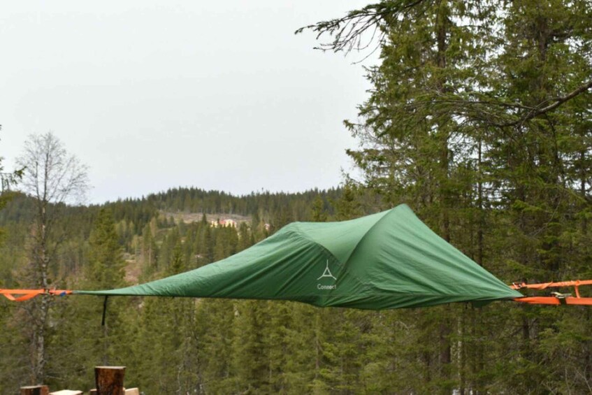 Picture 1 for Activity Hønefoss: 2-Day Moose Safari in Oslo's Wilderness