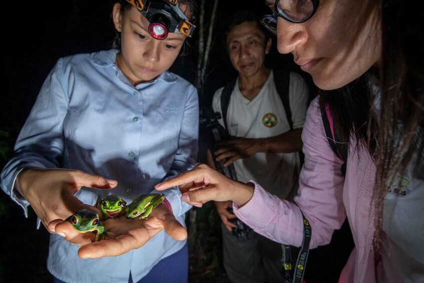 Picture 1 for Activity From Madre de Dios ||Night trekking in the Amazon jungle