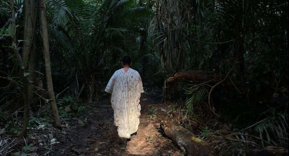 Picture 3 for Activity From Madre de Dios ||Night trekking in the Amazon jungle