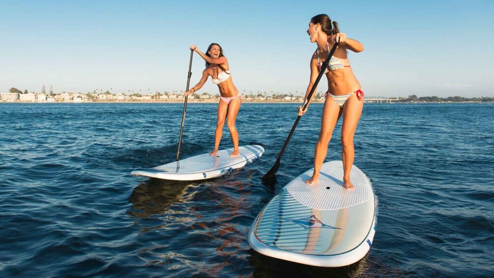 Picture 17 for Activity Waikiki: 5-in-1 Turtle Snorkeling Trip with Transfer