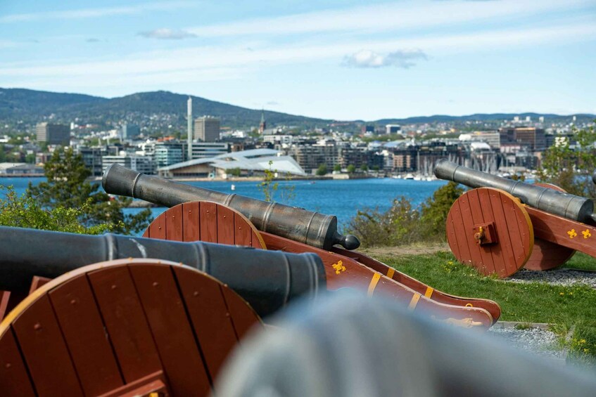 Picture 5 for Activity Oslo Island Walks: Island Hopping Tour