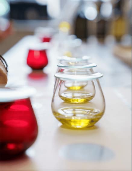 Athens Old Town: Greek Olive Oil & Herbs Tasting