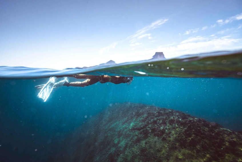 Picture 20 for Activity Rio: Snorkel & Swim with Turtles Tour at Tijuca Islands