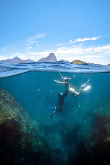 Picture 22 for Activity Rio: Snorkel & Swim with Turtles Tour at Tijuca Islands