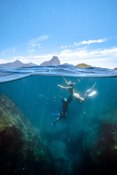 Picture 22 for Activity Rio: Snorkel & Swim with Turtles Tour at Tijuca Islands