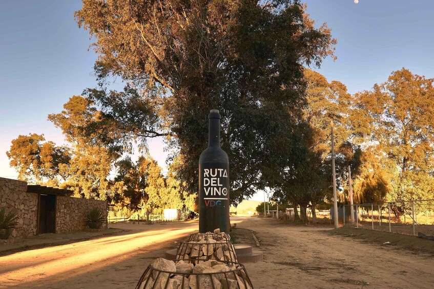 Picture 7 for Activity From Tijuana: Valle de Guadalupe Shared Winery Tour