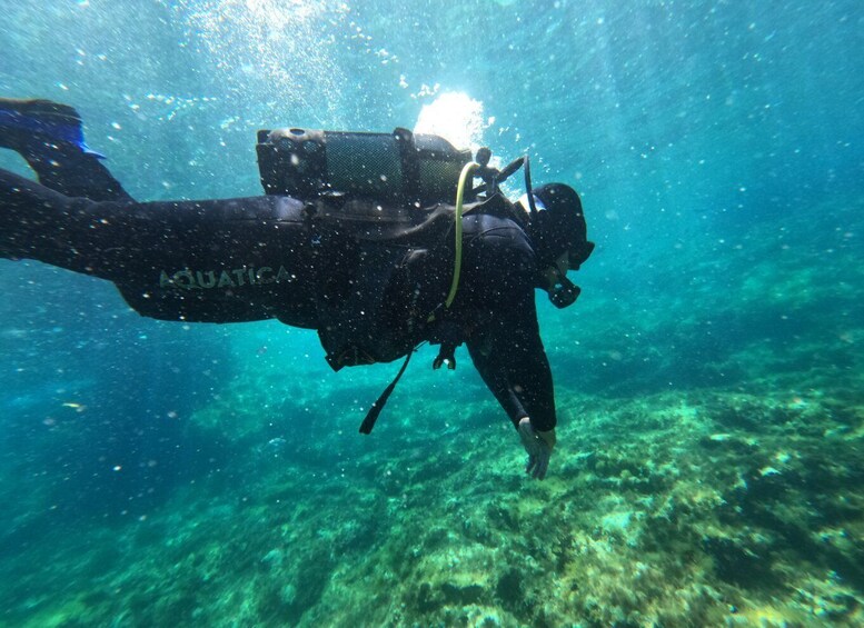 Picture 3 for Activity Malta: St. Paul's Bay 1 Day Scuba Diving Course