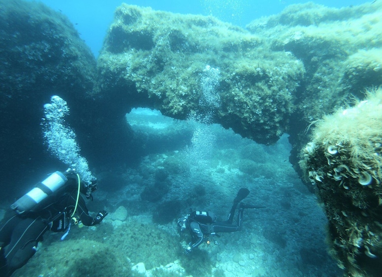Picture 14 for Activity Malta: St. Paul's Bay 1 Day Scuba Diving Course