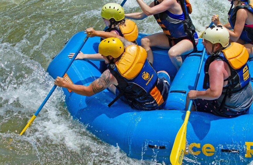Picture 1 for Activity New River Gorge Whitewater Rafting - Lower New Half Day