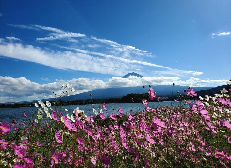 Picture 10 for Activity Mt Fuji: Full Day Private Tour with English Guide