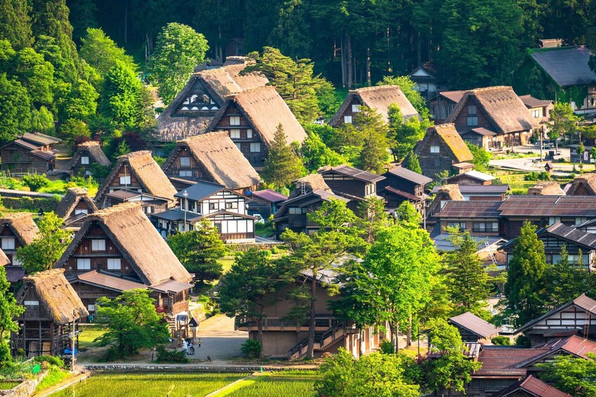 Picture 2 for Activity From Nagoya: Gujo, Hida Takayama, and Shirakawa-go Day Tour