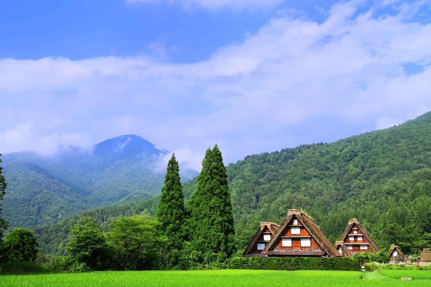Picture 1 for Activity From Nagoya: Gujo, Hida Takayama, and Shirakawa-go Day Tour