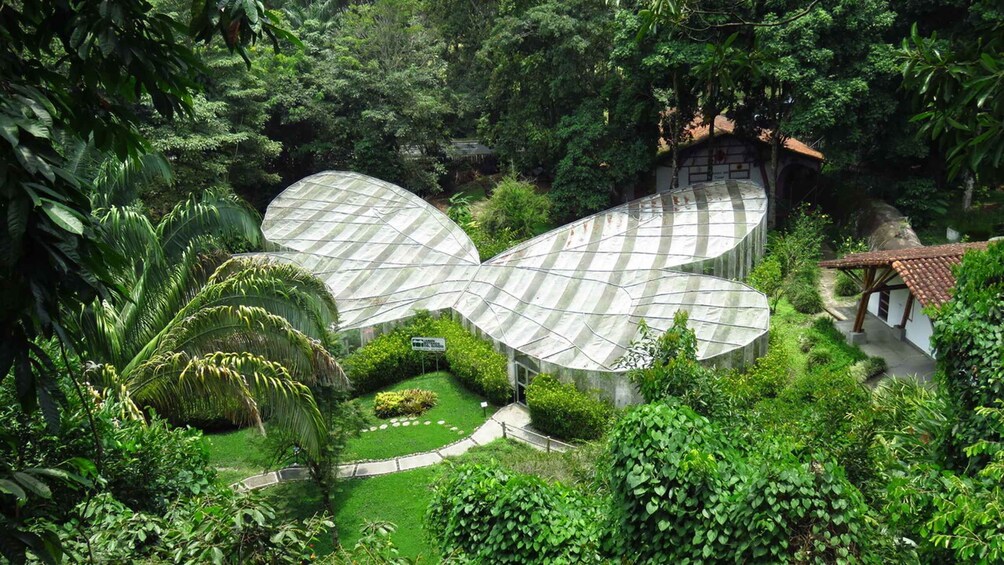 Picture 1 for Activity Walking tour José Celestino Mutis Botanical Garden 3 hrs