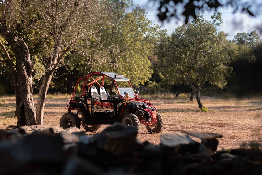 Picture 4 for Activity Fažana: Guided Buggy Tour in the Heart of Istria