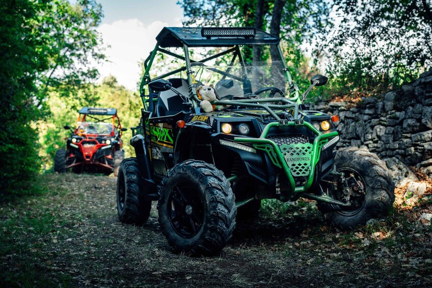 Fažana: Guided Buggy Tour in the Heart of Istria
