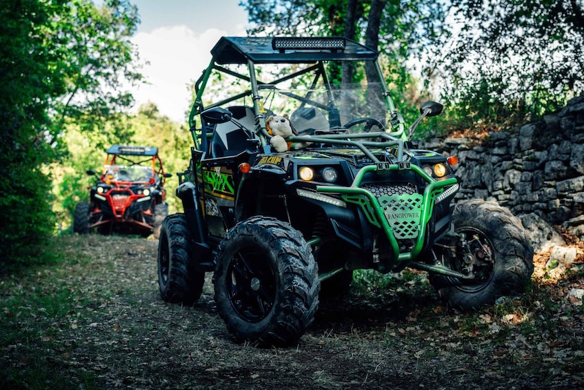 Fažana: Guided Buggy Tour in the Heart of Istria