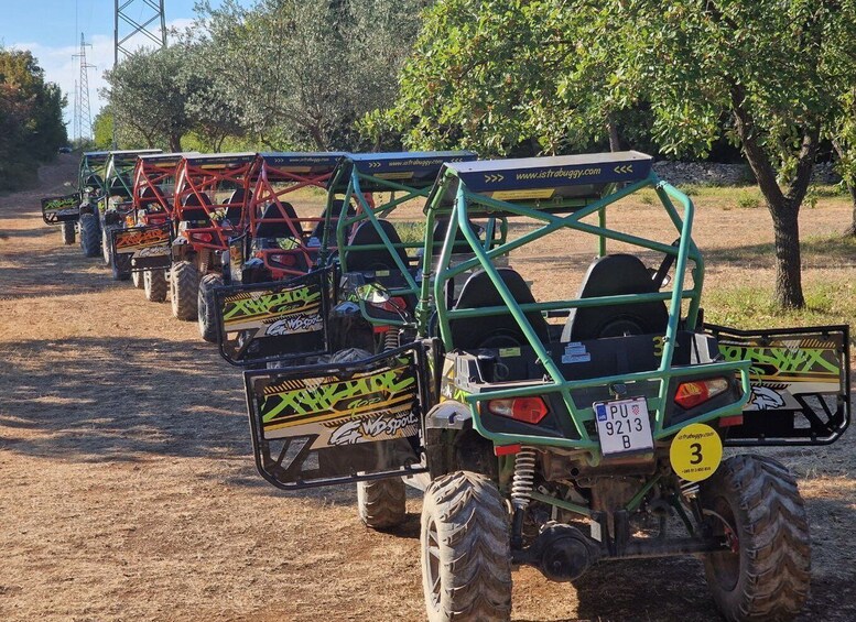 Picture 5 for Activity Fažana: Guided Buggy Tour in the Heart of Istria