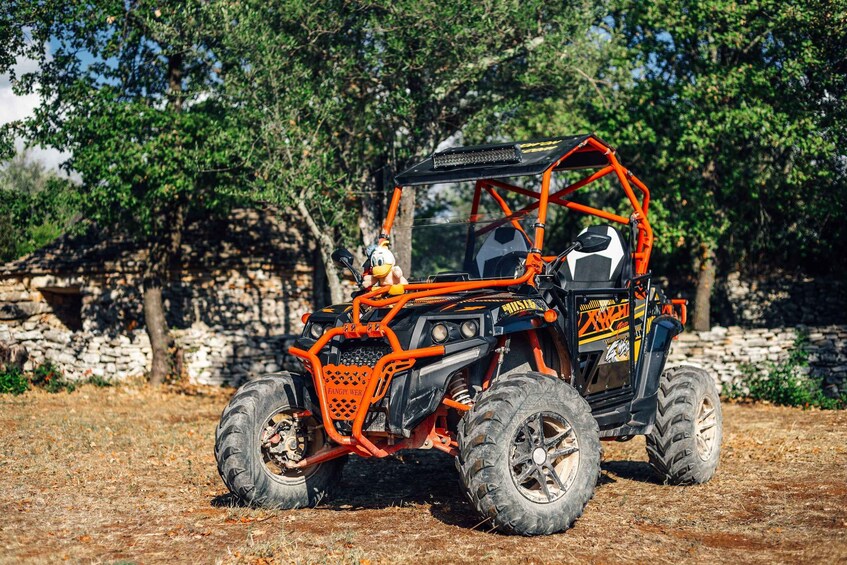 Picture 2 for Activity Fažana: Guided Buggy Tour in the Heart of Istria