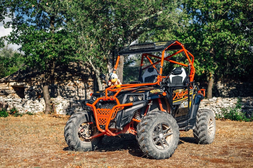 Picture 2 for Activity Fažana: Guided Buggy Tour in the Heart of Istria