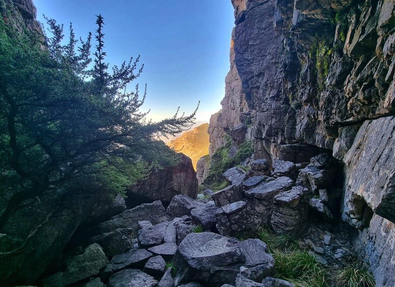 Picture 3 for Activity Cape Town: Table Mountain Abseil and Hike