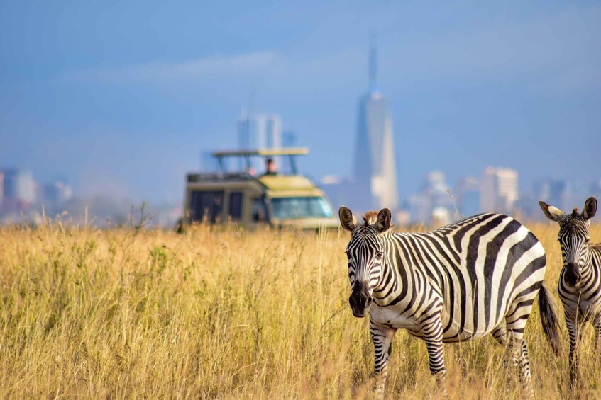 Picture 12 for Activity Nairobi: National Park Group Safari
