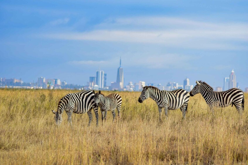 Picture 11 for Activity Nairobi: National Park Group Safari