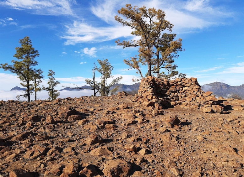 Gran Canaria: Full-Day Guided Hiking With Snacks