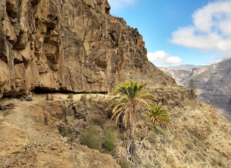 Picture 4 for Activity Gran Canaria: Full-Day Guided Hiking With Snacks