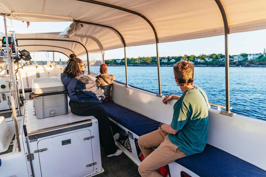 Picture 5 for Activity Portland: Sunset Lighthouse Cruise in Casco Bay with Drinks