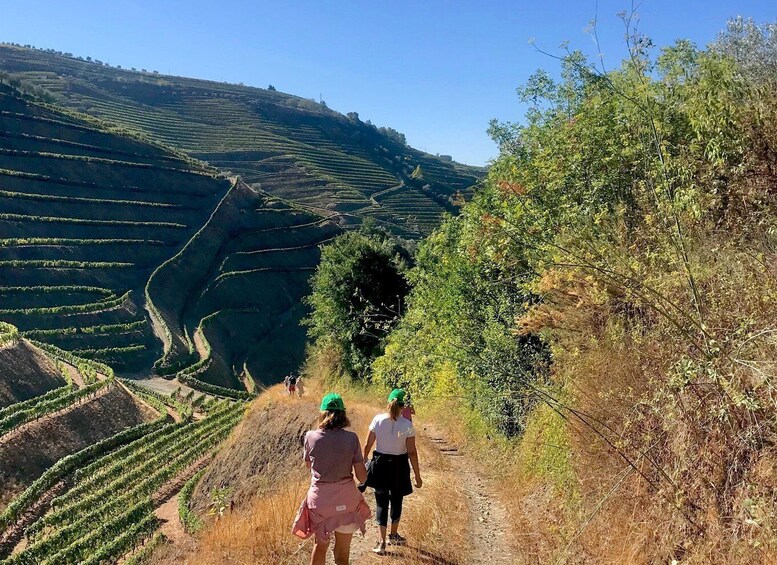 Picture 8 for Activity Douro: luxury walking with full lunch at Quinta do Portal