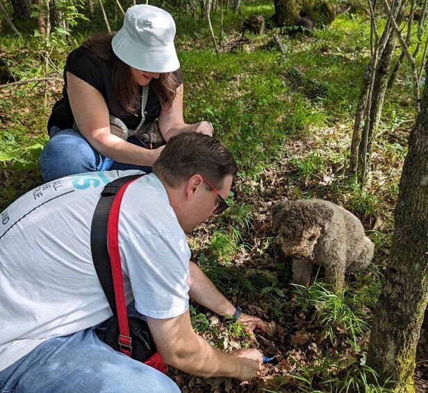 Picture 11 for Activity From Parma/Cinque Terre: Truffle Hunting Experience & Lunch