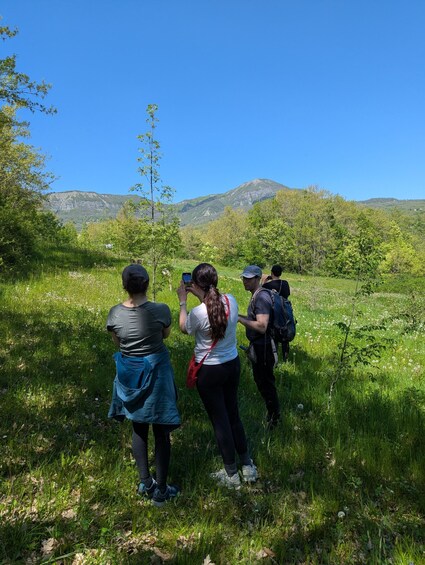Picture 16 for Activity From Parma/Cinque Terre: Truffle Hunting Experience & Lunch