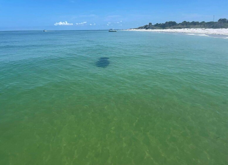 Picture 1 for Activity 5-Hour Egmont Key Tour in St. Pete