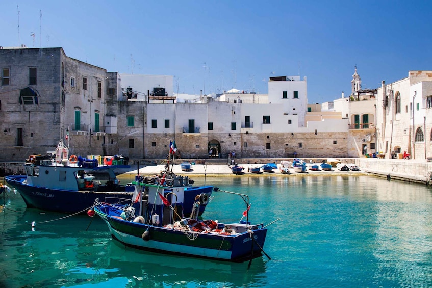 Picture 10 for Activity Monopoli: Private Sightseeing Speedboat Tour with Champagne