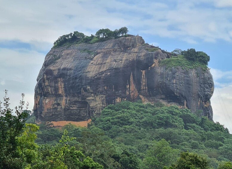 Picture 7 for Activity From Kandy: Sigiriya dambulla and Minneriya Safari Day Trip