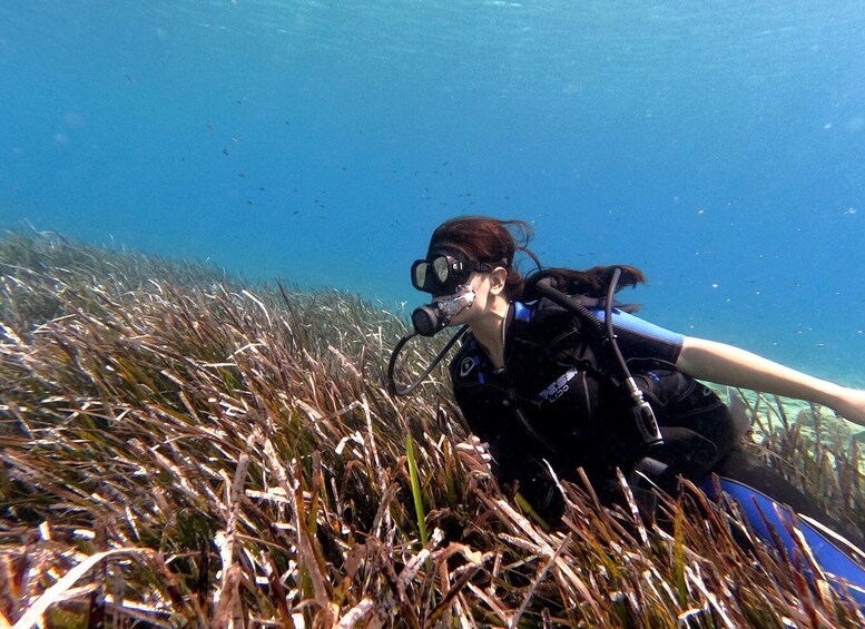 Picture 15 for Activity Heraklion: Beginner's intro dive w/2 Dives with transfer.