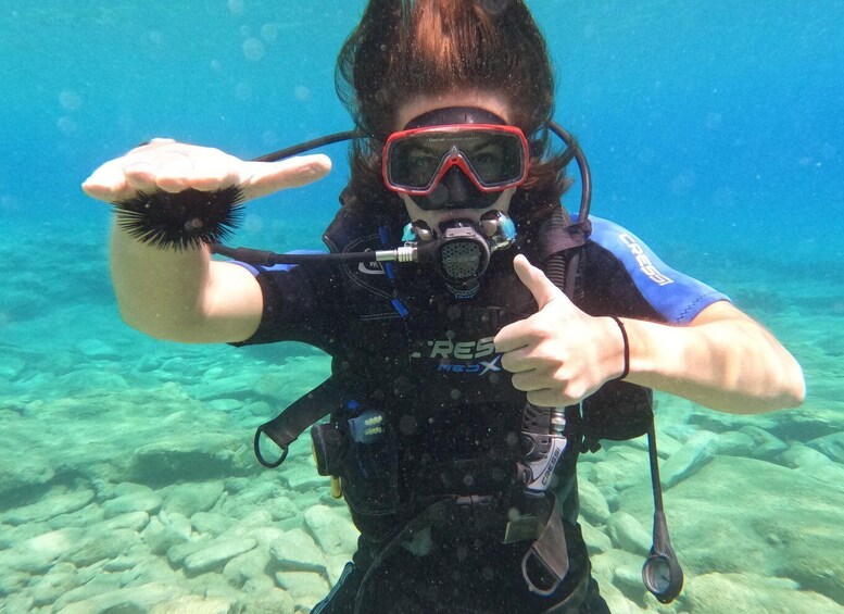Picture 14 for Activity Heraklion: Beginner's intro dive w/2 Dives with transfer.