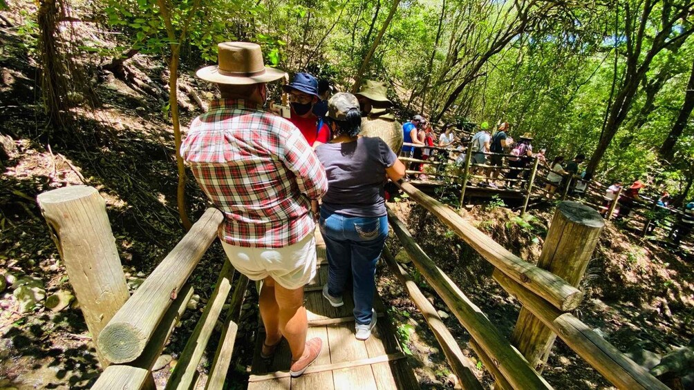 Picture 5 for Activity Tour "Bioparque Estrella", With transfer, Safari and tickets