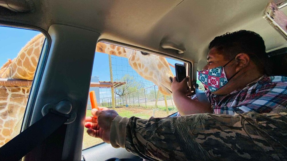 Picture 2 for Activity Tour "Bioparque Estrella", With transfer, Safari and tickets