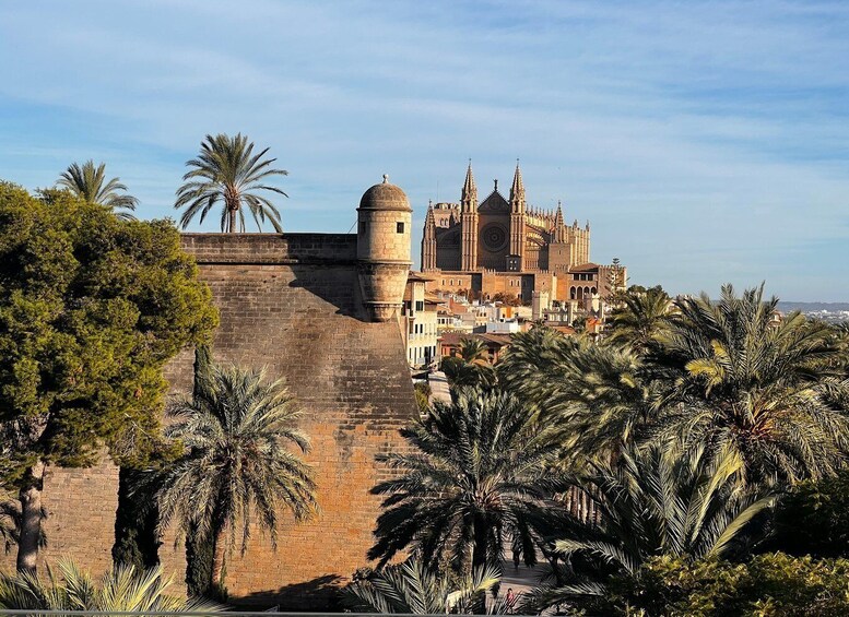 Picture 7 for Activity Palma de Mallorca: Old Town Atmospheric Evening Tour
