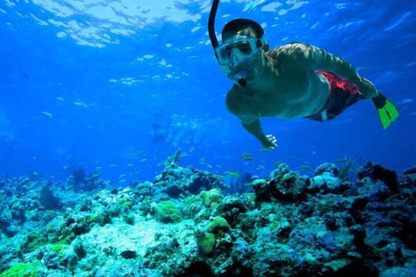 Picture 5 for Activity Snorkeling in Trincomalee
