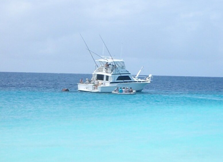 Picture 9 for Activity From Willemstad: Full-Day Boat Tour to Klein Curaçao