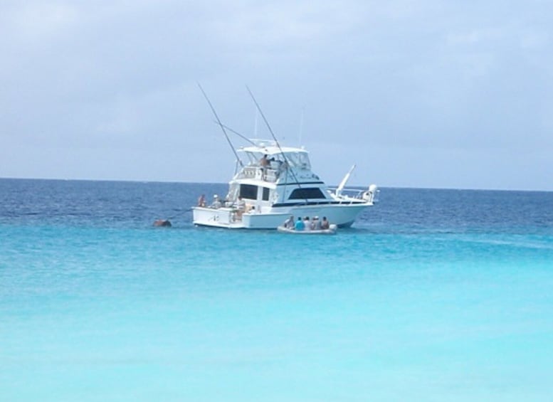 Picture 9 for Activity From Willemstad: Full-Day Boat Tour to Klein Curaçao