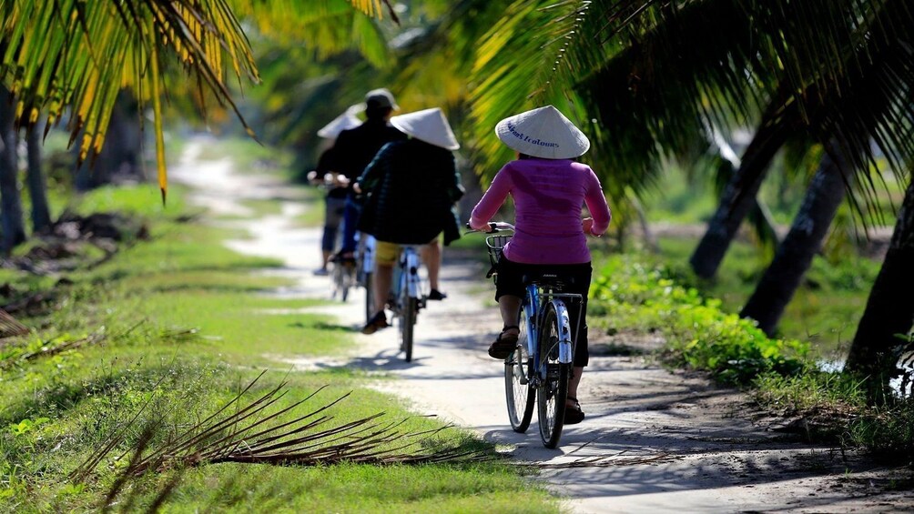 Tra Que Village Afternoon Cooking Farming Tour with Bike Ride in Hoi An	