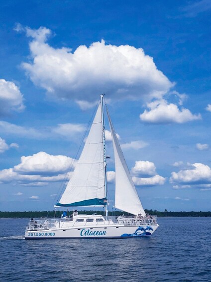Picture 1 for Activity Orange Beach: Sun and Sailing Cruise aboard Catamaran