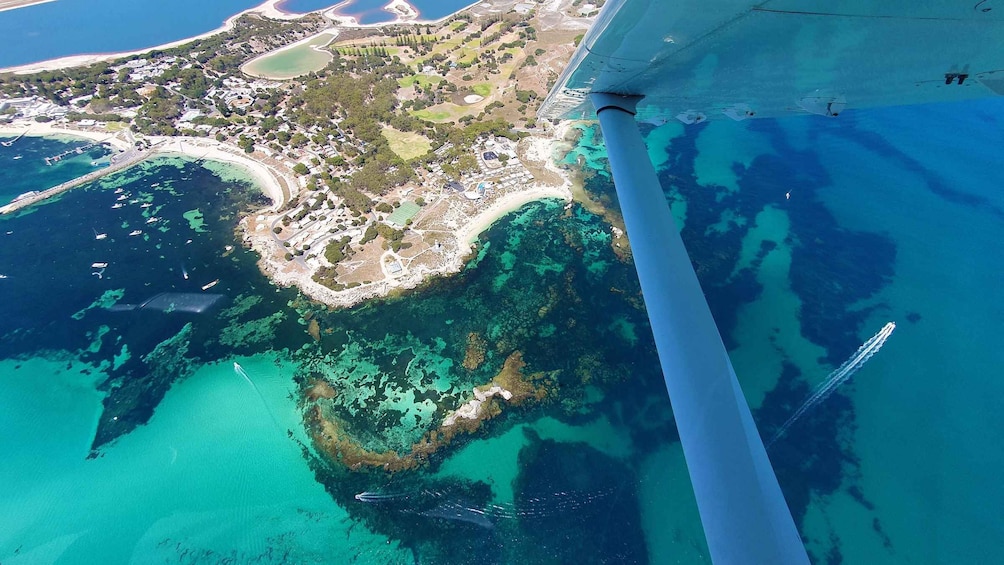 Picture 8 for Activity Perth: One Way Flight Transfer to or from Rottnest Island